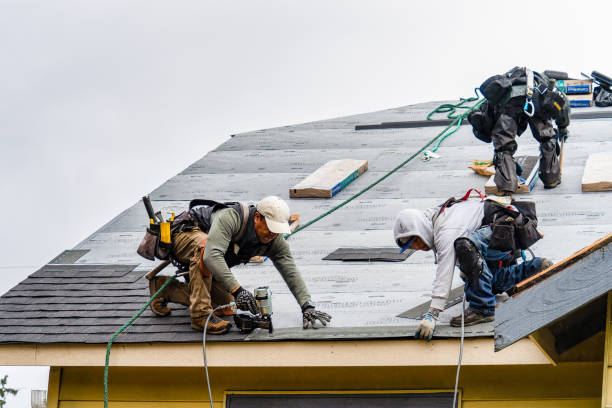 Professional Flat Roof Repair technician working in Swanton, OH